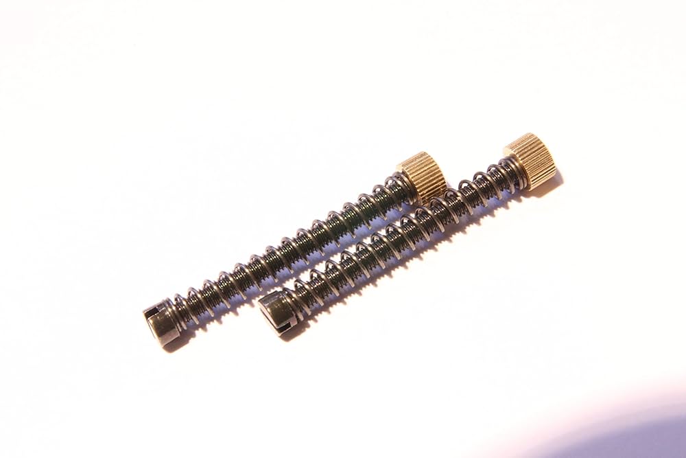 Amazon | Campagnolo(カンパニョーロ) 純正 リアエンド用